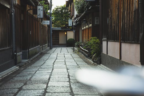 日语背景学生能申请日本大学哪些专业