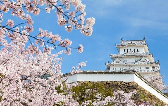 日语初学者常见问题大解密