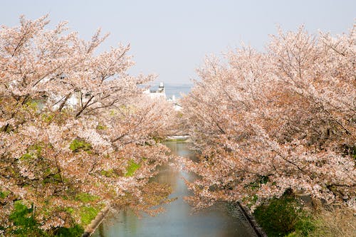 日本修士考试时间及申请流程