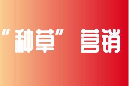 小红书网页登陆怎么退出？退出后怎样继续播放？